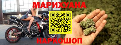 Альфа ПВП Можга
