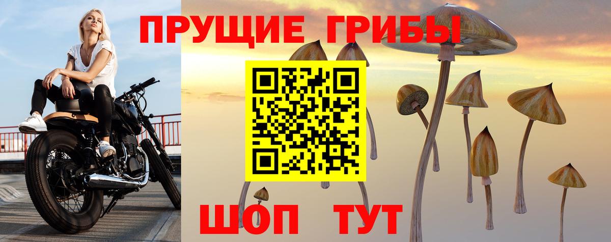 Галлюциногенные грибы мицелий  Вход с VPN  наркотики  Тольятти 